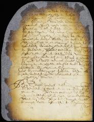 Further order modifying the grant on Manhattan Island to Messrs. Anthony and Van der Grist