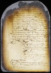 Petition of the magistrates of Breuckelen requesting that the rev. Mr. Selyns reside there