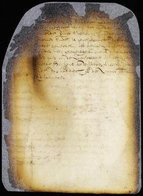 Order on the above petition of inhabitants of Bushwick and respecting New Arnhem