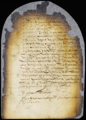 Petition of Gerrit van Tright for copy of a petition against Alexander D'Hinoyossa