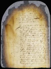 Answer of the director and council to the proposals of Messrs. Fenn and others of New Haven colony