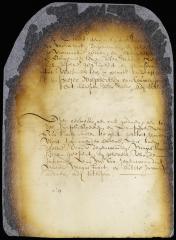 Appointment of orphan master in New Amsterdam for the ensuing year