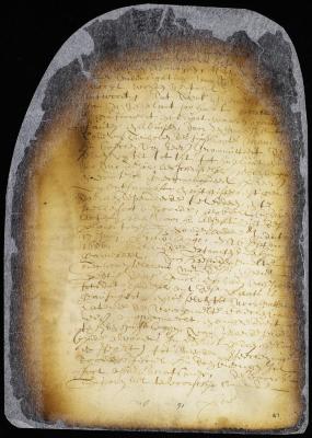 Order on the petition of Rachel van Tienhoven