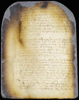 Minute of the hearing of the deputies from the towns of Amesfoort and Midwout, L. I., respecting their bounds
