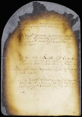 Judgment against Dirck de Vin for the use of a horse he had purchased from Dirck Teunissen and returned