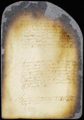 Order for an appeal from a judgment of the court of Flushing pronounced against Tobias Feake in favor of William Hallett