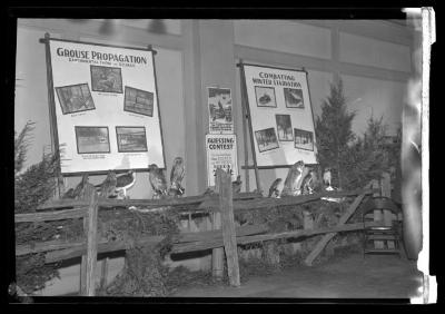 Syracuse State Fair Exhibit; fish, pheasant, grouse and deer exhibit