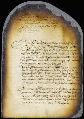 Suit of Harmen Jansen van Berckelo against the captain of the ship Faith