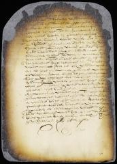 Ordinance against burning straw or other refuse combustibles in the village of Wiltwyck