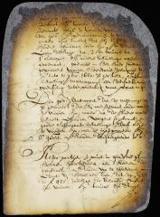 Suit brought by Severyn Laurens against Augustine Heermans