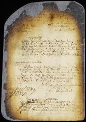 Letter from director Stuyvesant to the towns of Gravesend, Middleburgh and Rustdorpe