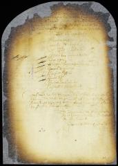 Nomination of burgomaster and schepens for the city of New Amsterdam