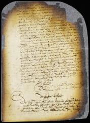 Petition of three slaves to be manumitted