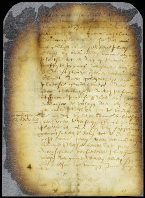 Petition of sundry persons residing in and near Brooklyn for land to establish a new village