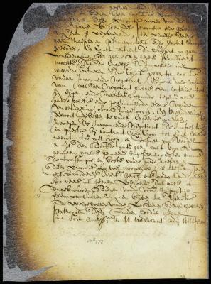 Order removing the export duty on beer manufactured in New Netherland