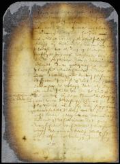 Petition of sundry persons residing in and near Brooklyn for land to establish a new village