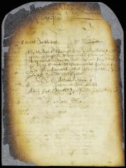 Appointment of orphan masters for New Amsterdam