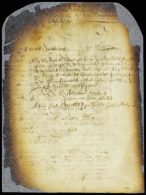 Appointment of orphan masters for New Amsterdam