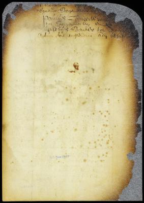 Appointment of officers for New Amsterdam