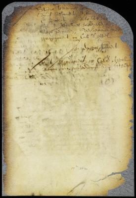 Order for a writ of appeal in favor of Peter Tonneman from a judgment of the court of New Amsterdam