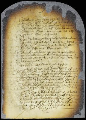 Action of William Maerschalk against Grietje, wife of Cornelis Steenwyck, for slander