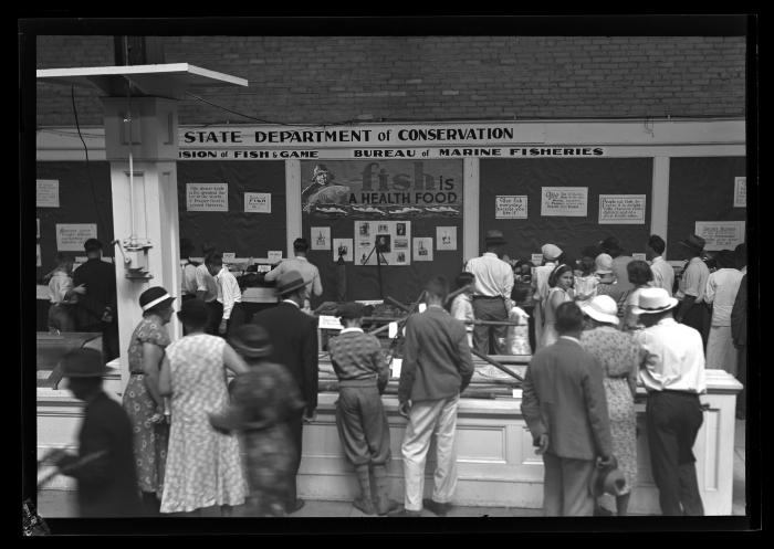 Syracuse State Fair Exhibit