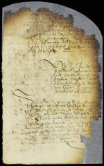 Proposal of the chief of the Hackengsack Indians to sell a portion of their land behind the Kill van Kol