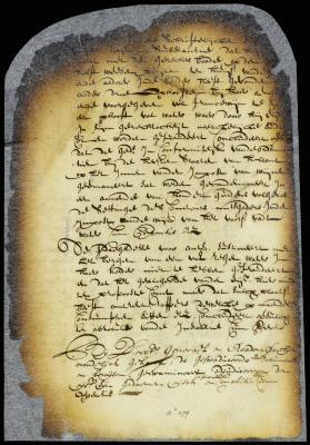 Judgment against Mettie Wessels for excise duty on a hogshead of wine