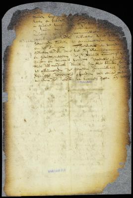 Appointment of Paulus Leenderts van der Grist and Nicolas Varleth to examine the books and accounts belonging to the estate of Cornelis van Tienhoven