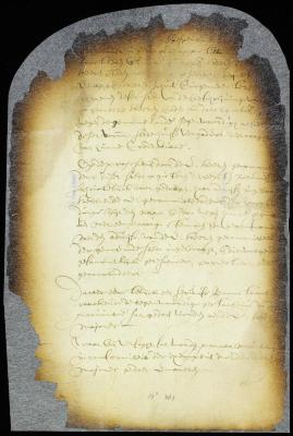 Proposals of the delegates of New Amsterdam to the convention