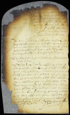 Proposals to be submitted by the delegates from New Amsterdam to the delegates of the other towns in the convention