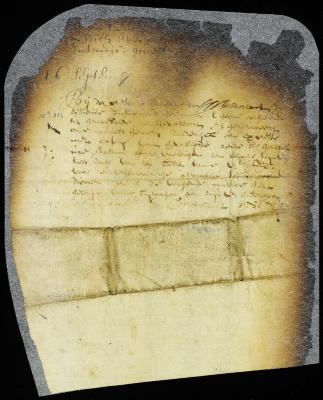 Resolution to transmit copies of all the papers relative to the late transactions at Gravesend to director Stuyvesant 