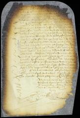 Declaration of Lammertje, wife of Jan Strycker, in corroboration of the petition of Cornelis Jansen