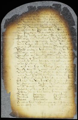 Contract of Newesing Indians to sell to the director and council of New Netherland all their lands not already sold to the Dutch