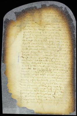 Petition of Cornelis Jansen for pardon for accidentally killing Jan Damen's son