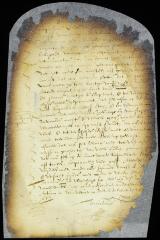 Declaration of Jan Strycker in corroboration of the petition of Cornelis Jansen