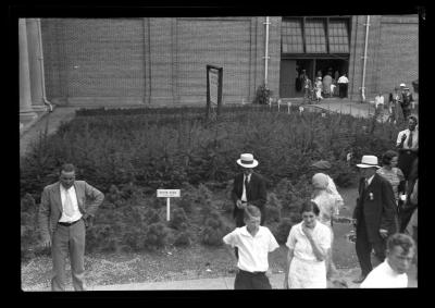Syracuse State Fair Exhibit