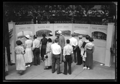 Syracuse State Fair Exhibit