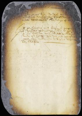 Petition of Jacob Stoffelsen's wife for 8 or 10 morgen of wood land behind the company's bouwery at Ahasemus