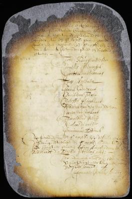 Nomination of burgomasters and schepens for the city of New Amsterdam