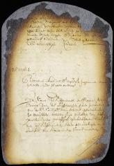 Order rejecting the petition of Cornelis Steenwyck and Jacques Cousseau