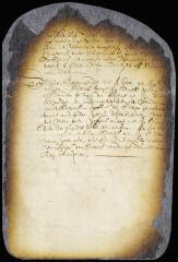 Order on a petition of the rev. Henricus Selyns in regard to the currency in which his salary ought to be paid