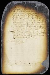 Letter from director and council to the magistrates of Breuckelen, Midwout, Amesfoort, and New Utrecht