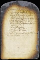 Appointment of magistrates for Fort Orange