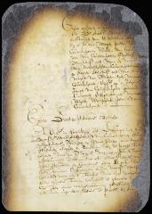 Declaration of Peter, William and John van Couwenhoven, Roeloff Marteuse and Koert Stevensen against Jacob van Couwenhoven