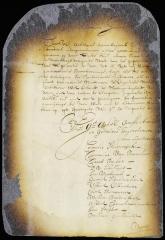 Address of the delegates to the director and council