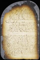 Order on the petition of Hendrick Jansen Stuyvesant reducing the duty on his cargo of salt