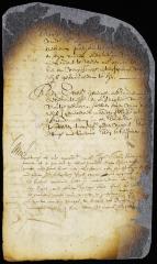 Sentence of dame Gerritse