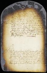 Order on a petition of Hendrick Jansen Stuyvesant respecting duties payable on a cargo of salt brought in his ship The White Horseman