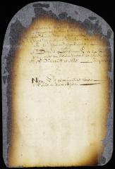 Appointment of church wardens for New Amsterdam